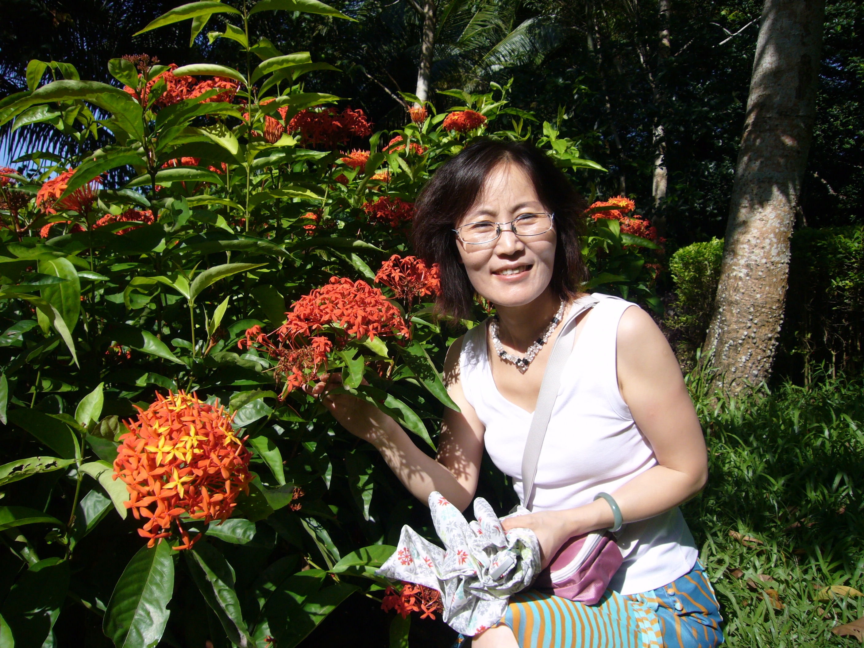 語文學科帶頭人馬麗華